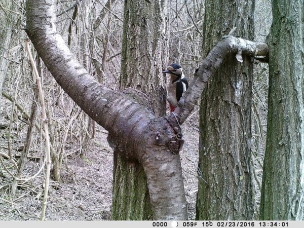 12742522_1210665525630104_8788289141688043811_n