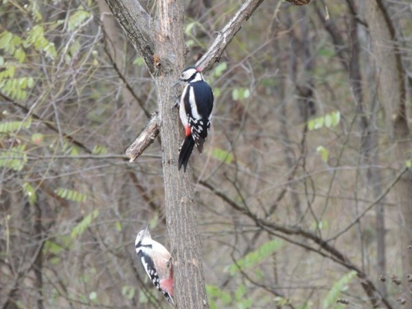 15078995_1424611240902197_2160463224592708026_n