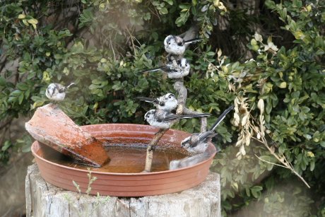 Képtalálat a következőre: „madáritató virágalátétből”