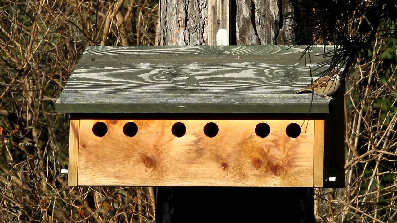 KÃ©ptalÃ¡lat a kÃ¶vetkezÅre: âverÃ©blakÃ³telepâ