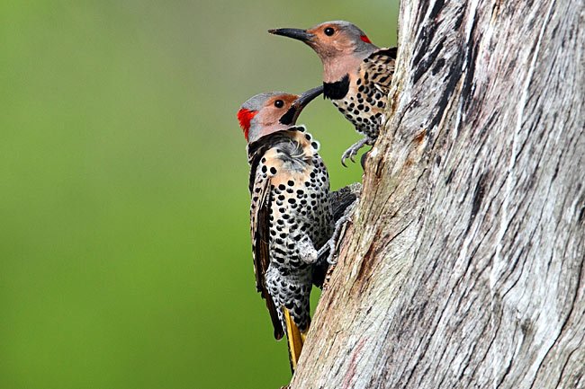 KapcsolÃ³dÃ³ kÃ©p