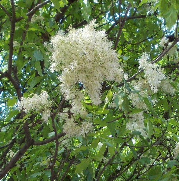 KapcsolÃ³dÃ³ kÃ©p