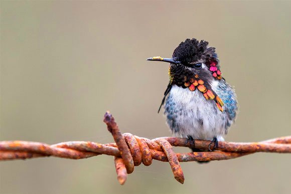 KapcsolÃ³dÃ³ kÃ©p