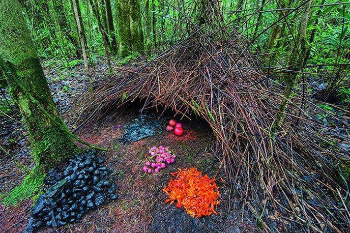 KapcsolÃ³dÃ³ kÃ©p