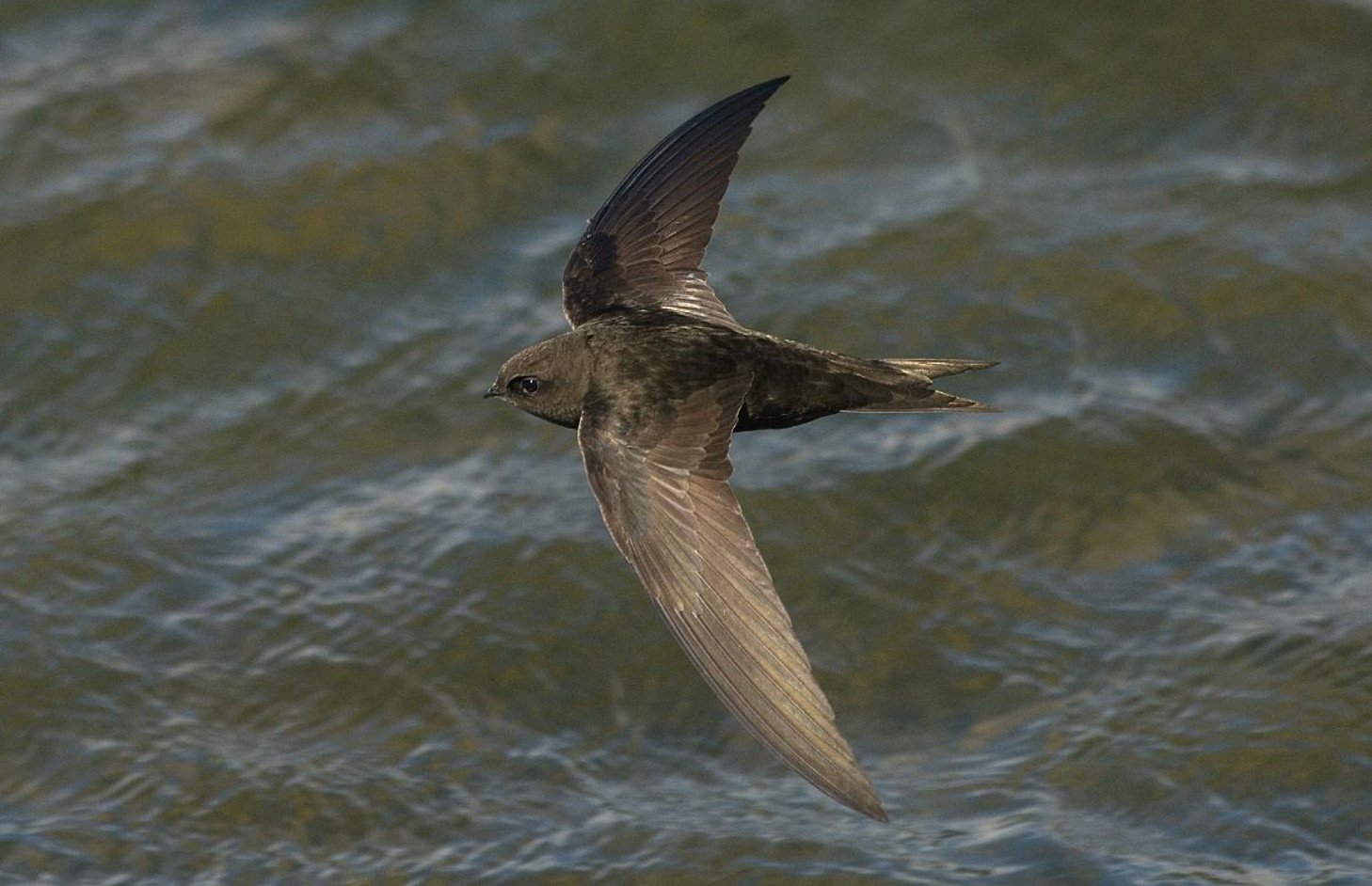KapcsolÃ³dÃ³ kÃ©p
