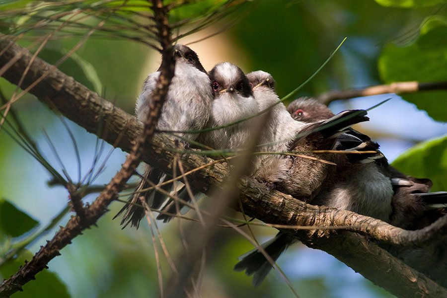KapcsolÃ³dÃ³ kÃ©p